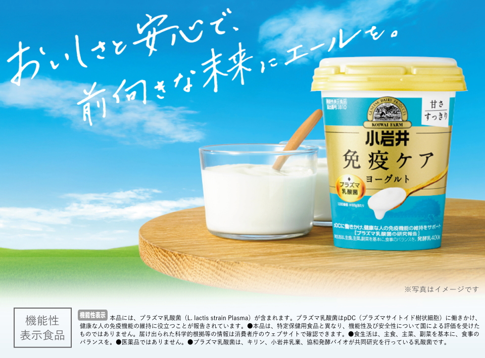 小岩井免疫ケアプラズマ乳酸菌ヨーグルト400ｇイメージ画像